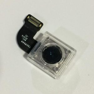 Back Rear Camera Module Flex Ribbon Cable For iPhone 8
