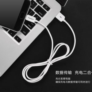 Fast Charging Data Type-C USB Cable #PISEN - Image 5
