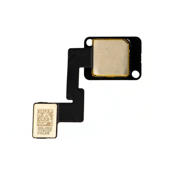 iPad Mini 2/3 Rear Camera