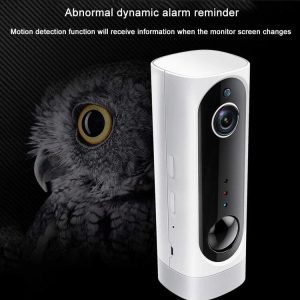 Difang 720P/1080P Wireless Camera HD Night Vision Smart Wifi Mobile Phone Remote